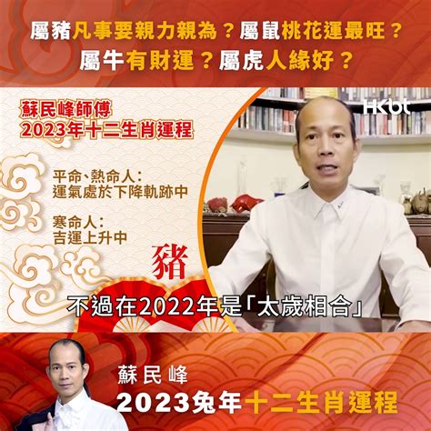 2023門口地毯顏色蘇民峰|[蘇民峰2023兔年運程]